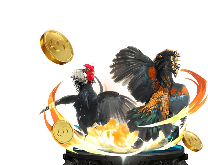 Người chơi đang phân tích chiến lược cá cược đá gà hiệu quả tại MWC Casino